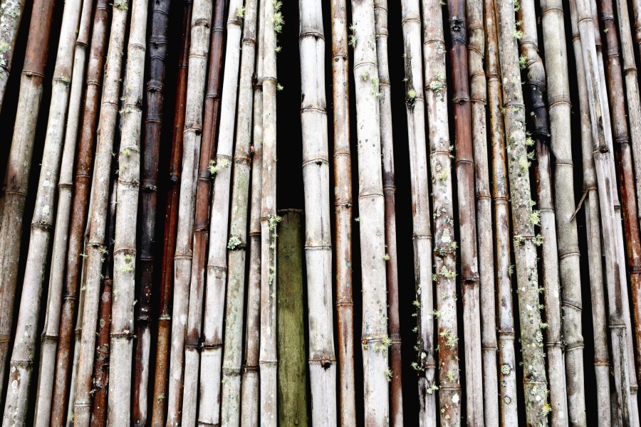 бамбук, текстура, стена, гори, дизайн, ограда