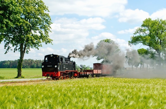 Vapor, locomotora de vapor, ferrocarril, tren, cielo, humo, transporte, árboles