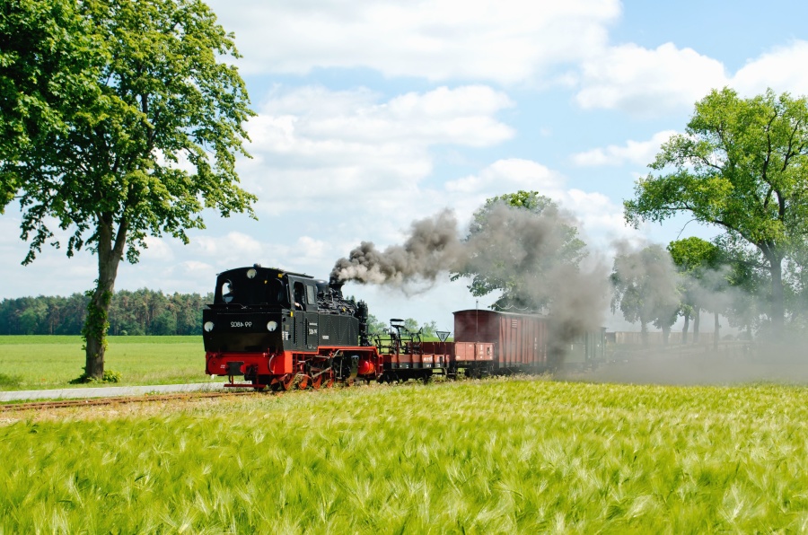 steam engine, steam locomotive, railroad, railway, train, sky, smoke, transport, trees