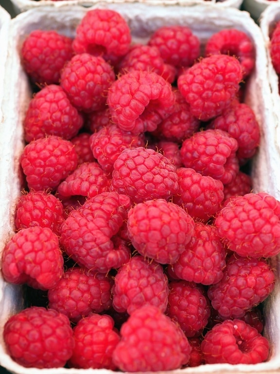 fruit, berries, delicious, raspberries, red, sweet