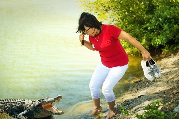 woman, alligator, water, danger