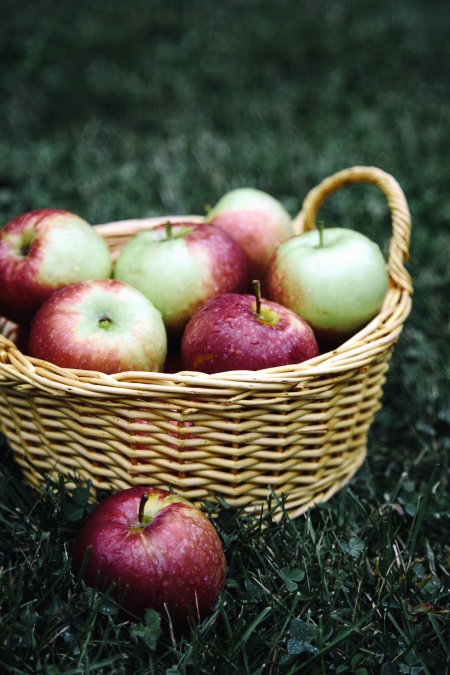 кошница, ябълки, билки, плодове, здрави, сочни