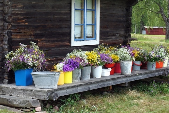 flores, casa, de madeira, janela, balde
