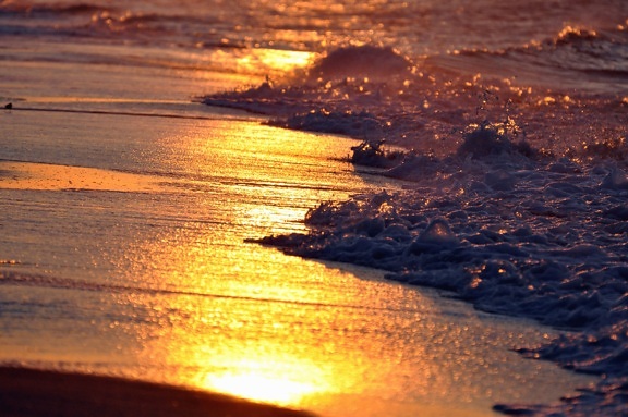 morze, fale, piasek, zachód słońca, wody
