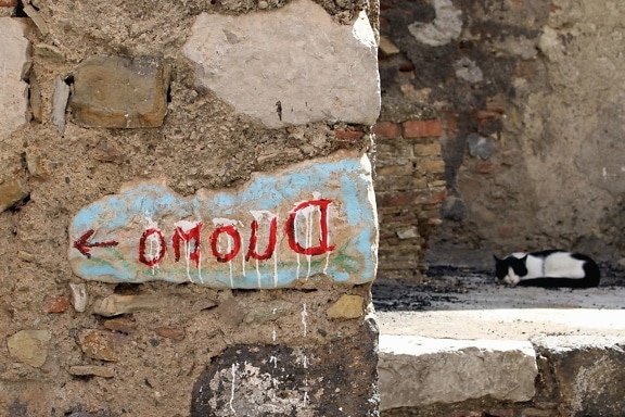gato, parede, graffiti, animais de estimação, tijolo, pedra