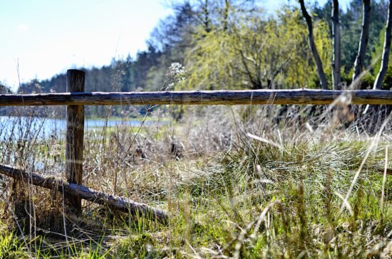 wood, fence, grass, lake, wood, forest