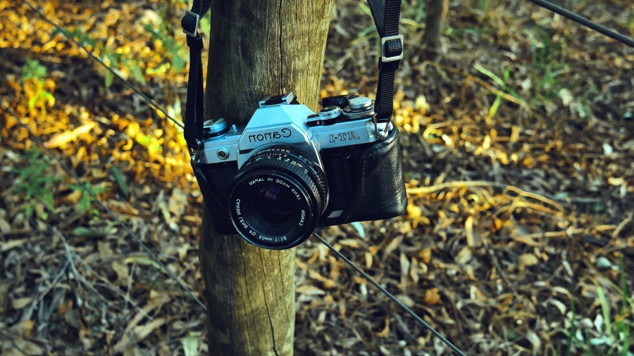 Forêt, caméra photo, lentille, nature, équipement