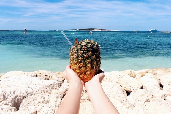 菠萝, 手, 海, 海滩, 夏天, 热带, 岩石, 海