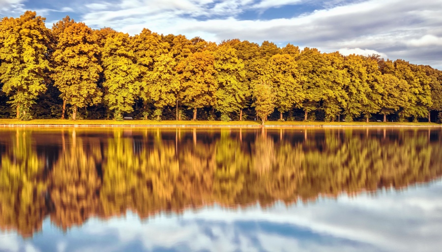 jeseň, Les, rieka, stromy, nebo, príroda