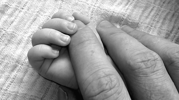father, child, baby, hands, fingers