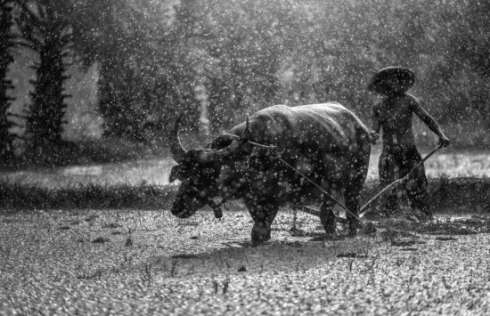 Free picture: abandoned, agricultural, agriculture, farm, wood