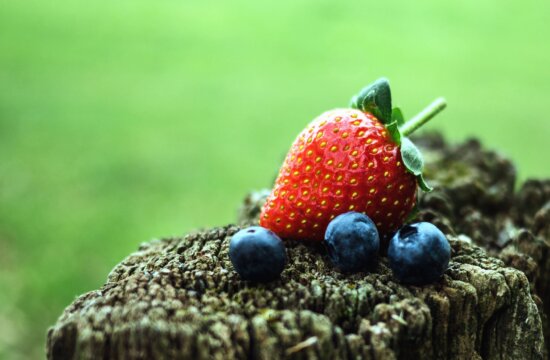 strawberries, blueberries, tree, fruit, nature, garden