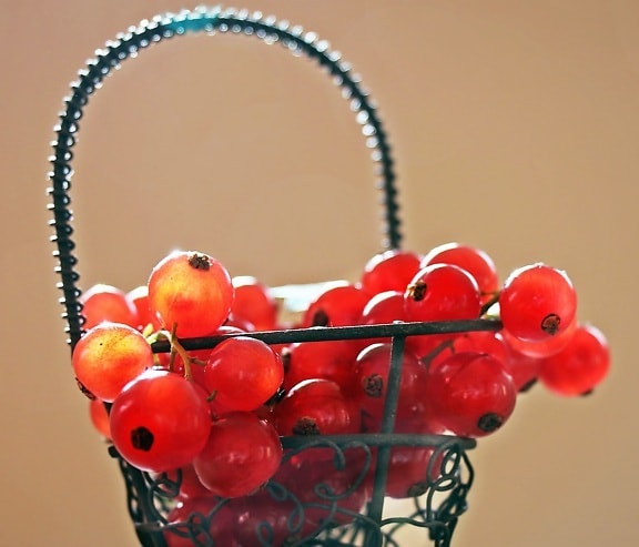 currant, fruit, basket, juicy, healthy, berries