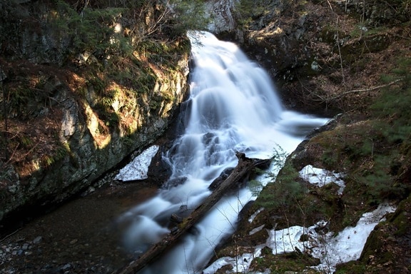 Stream, skog, landskap, stream, vattenfall, vatten