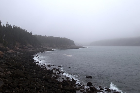 landscape, coast, fog, ocean, water, rocks