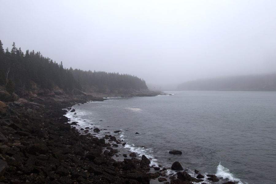 táj, part, köd, óceán, víz, sziklák