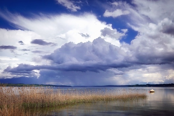 swamp, lake, water, grass, nature, boat, cloud, sky