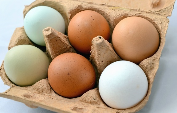 egg, chicken, box, cardboard, organic
