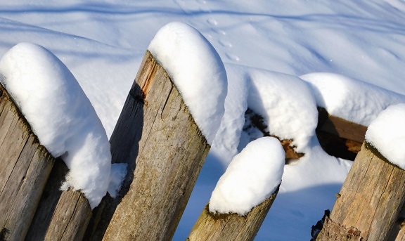 雪, 冬, 树, 冷, 栅栏