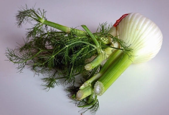 Cebolla, eneldo, vegetal