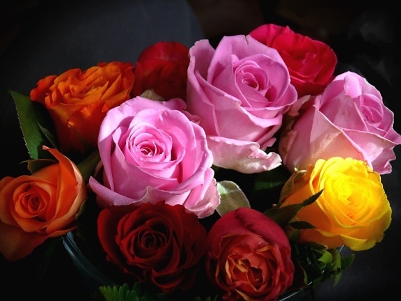 Rosas, color, colorido, pétalos, ramo de flores