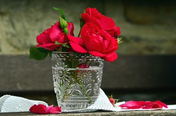 Váza, květ, růže, zátiší, čerstvé