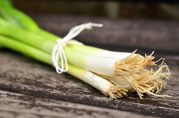 onion, root, leaf, food