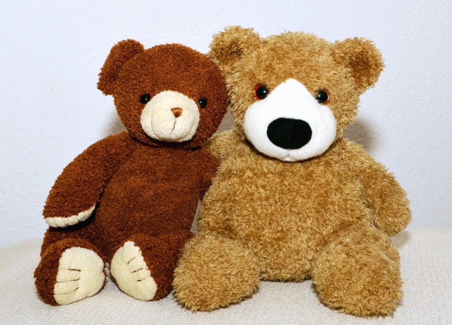 Teddy bear, boneka, mewah, mainan
