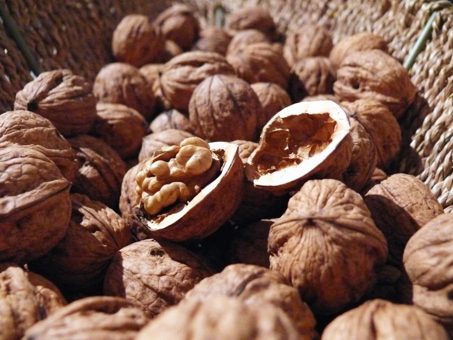 walnut, shell, wood, food