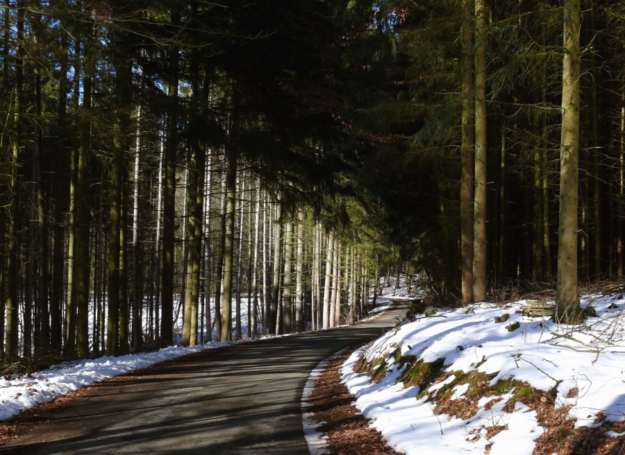 Strada, foresta, inverno, neve, asfalto, legno