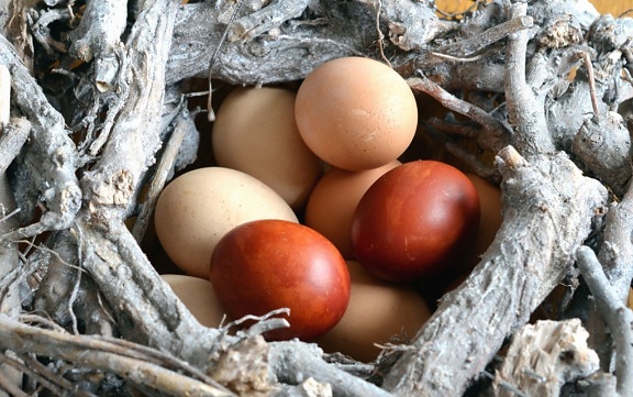 гнездо, яйца, Великден, декорация, боядисани
