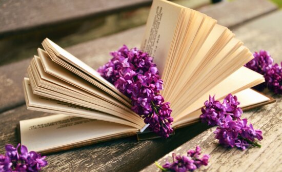 lilac, flower, book, page, table