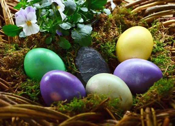 λουλούδι, αυγό, Πασχαλινό, φωλιά, πολύχρωμο, χρώμα