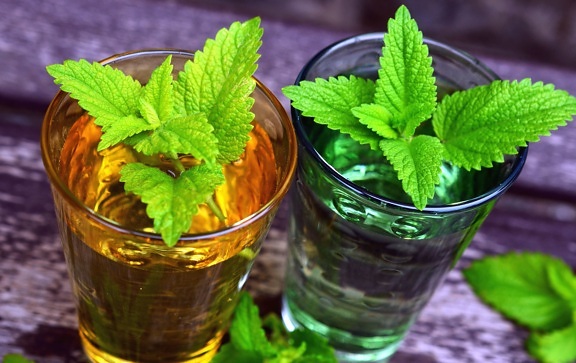 tea, herb, mint, water, glass, health