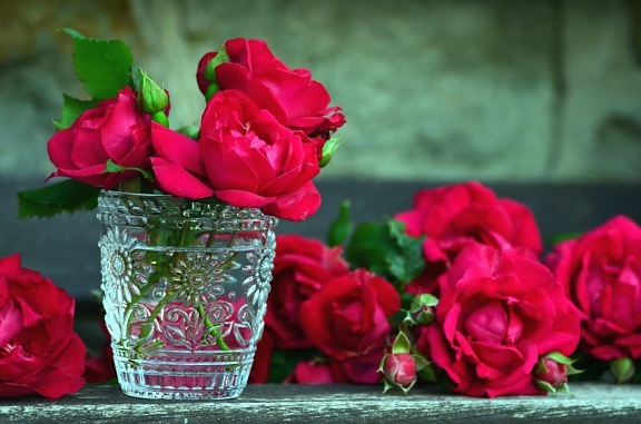 Rose, sklo, voda, květiny, bud