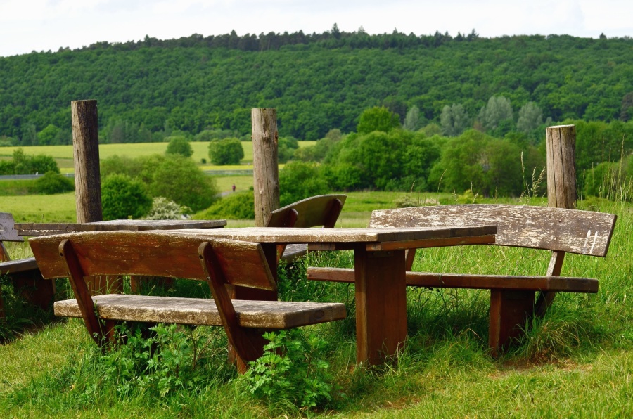 lavica, stôl, lesa, hory, lúka, dreva, trávy