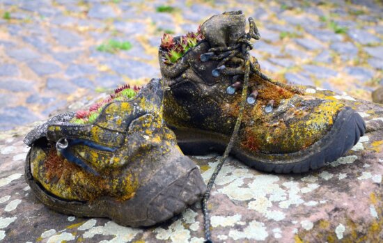 Free picture: legs, shoes, leaves, colors, footwear