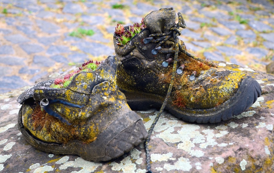 kenkä, likainen, maaperän, värikäs