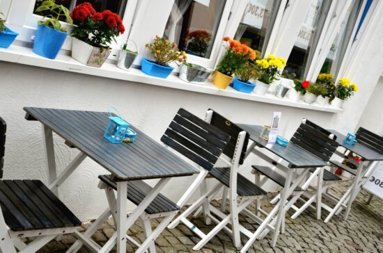 Tisch, Stuhl, Blume, Topf, Interieur, Café