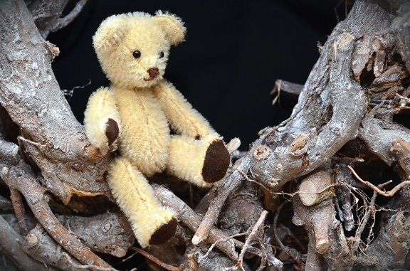 泰迪熊, 树枝, 玩具, 木头