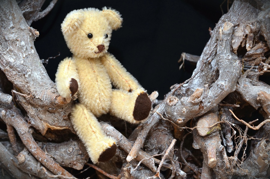 boneka beruang, cabang, mainan, kayu