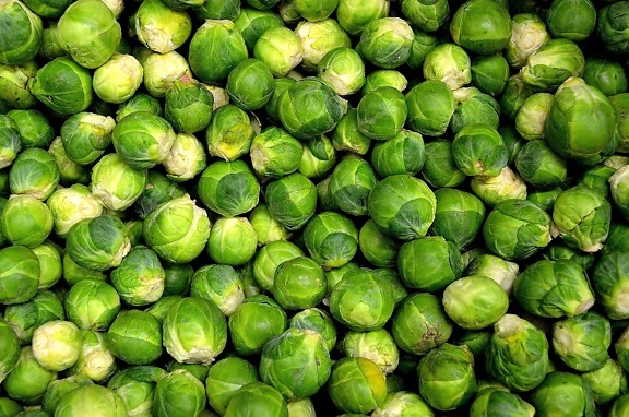 cabbage, vegetables, green