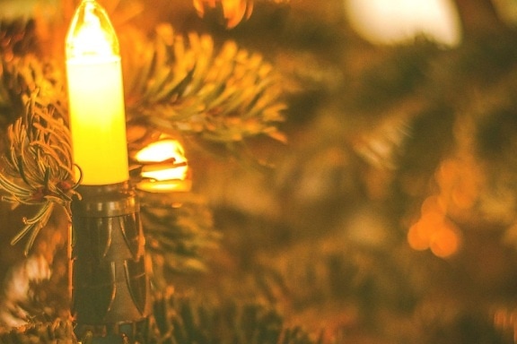 Коледа, светлина, декорация