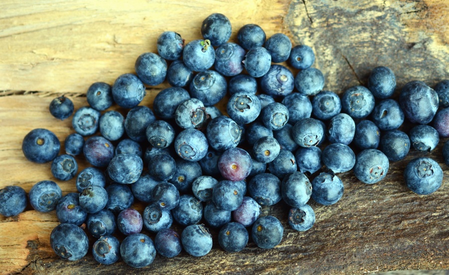 blåbær, frugt, mad, tabel