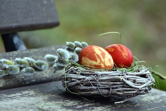 egg, nest, bench, colorful, easter