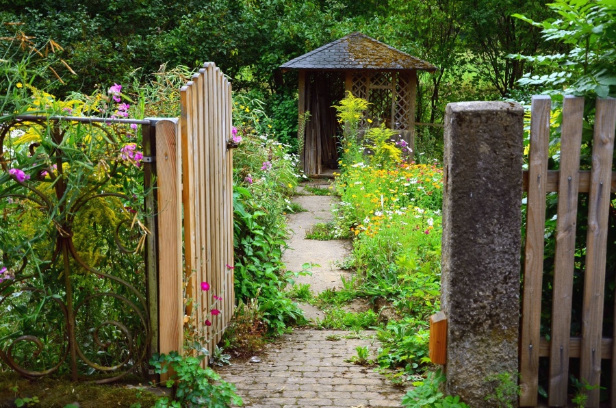 Sân vườn, cửa, kim loại, thực vật, hàng rào