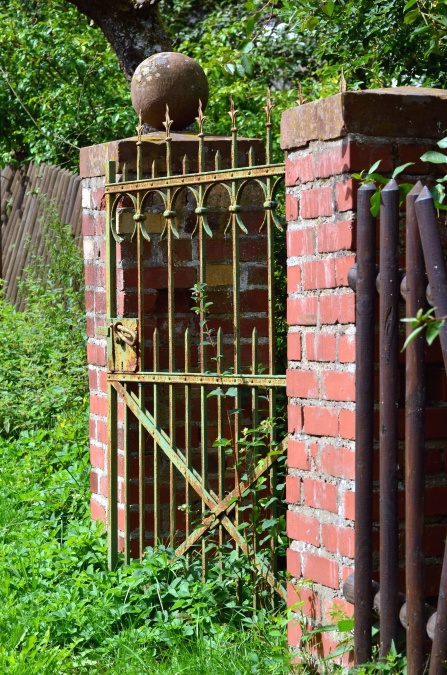 дверь, металла, кирпича, растений, забор