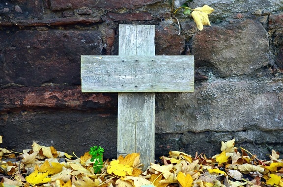 хрест дерева листя, стіна, камінь