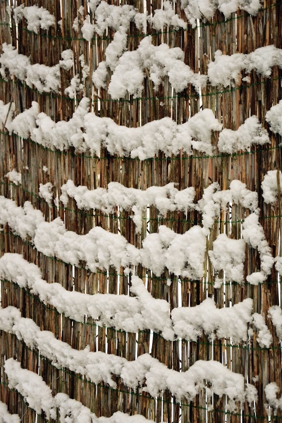 staket, kyla, vinter, snö, frost