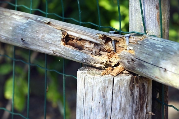 gard din lemn, metal, reţea, unghii